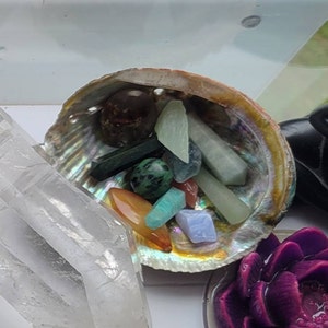 Courtney added a photo of their purchase