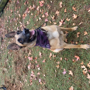 Melissa added a photo of their purchase