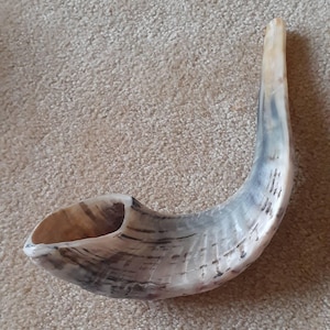 Dennis added a photo of their purchase