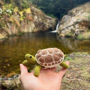 Diego ha aggiunto una foto del proprio acquisto