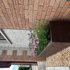 Jane added a photo of their purchase