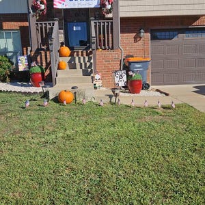 Haley added a photo of their purchase