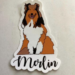Etichette Indirizzo Personalizzate Con Doberman Pinscher Marrone - Premium Labels