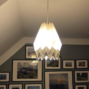 Ruth added a photo of their purchase