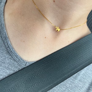 Alexis added a photo of their purchase