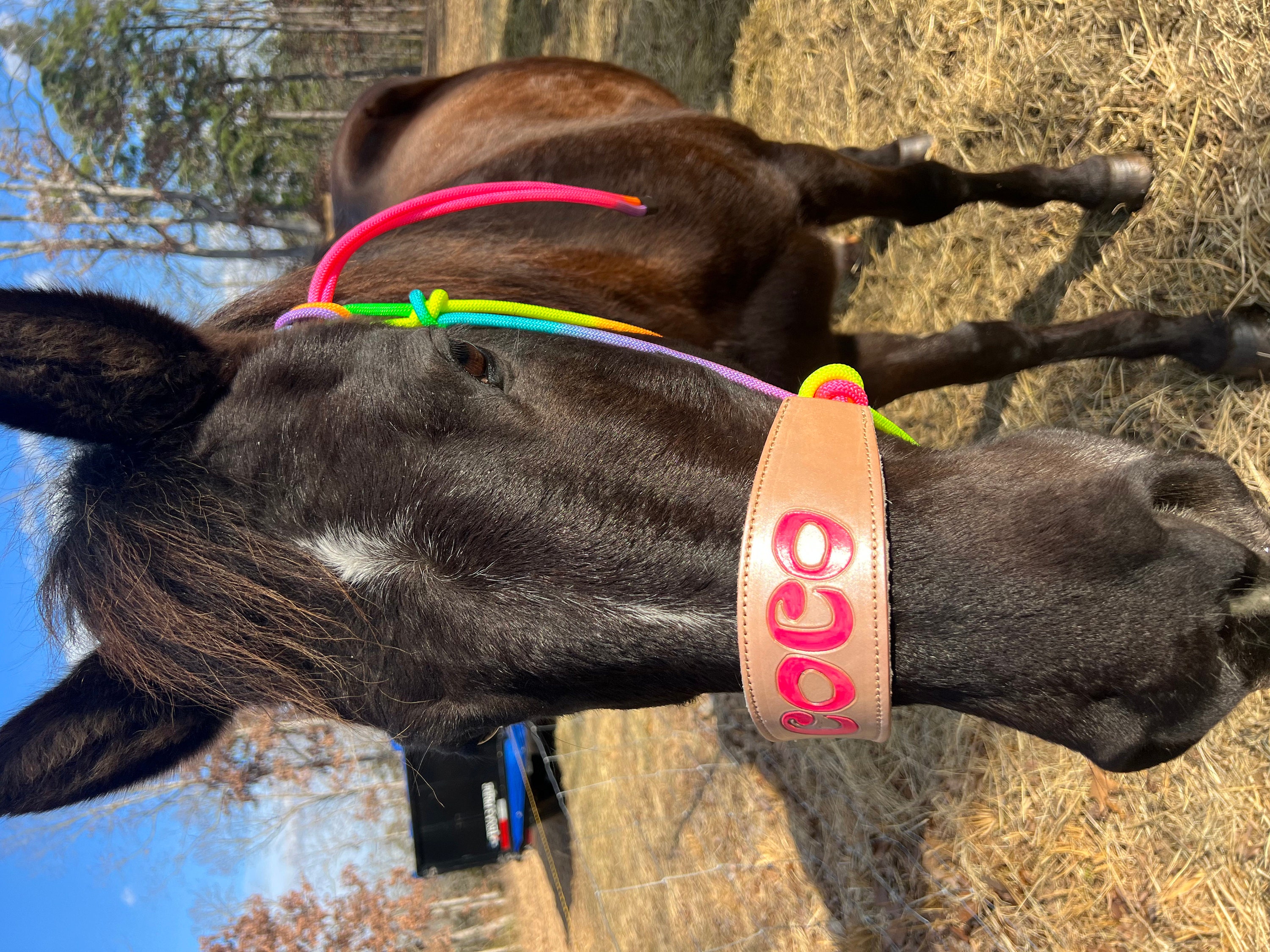 Skinny Bronc Poly Rope Halter