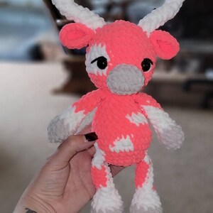 Jamie added a photo of their purchase