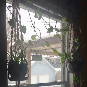 Emily added a photo of their purchase