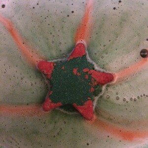 madeline ha añadido una foto de su compra