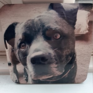 Lynne added a photo of their purchase