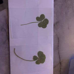 normal added a photo of their purchase