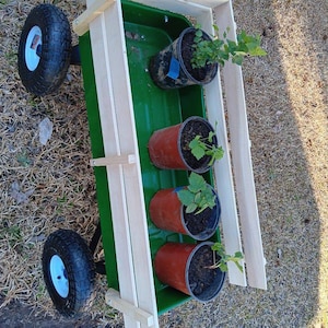 Scott added a photo of their purchase