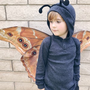 swallowtail costume