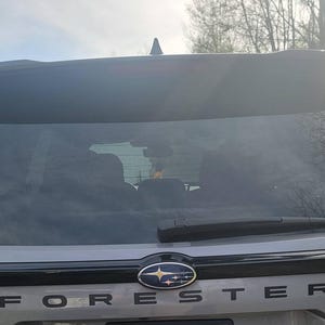 Lisa ha añadido una foto de su compra