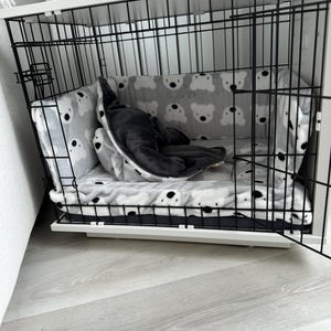 David ha aggiunto una foto del proprio acquisto