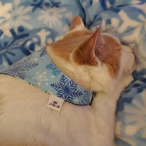 Laura ha añadido una foto de su compra