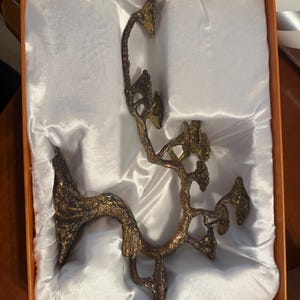 Dana added a photo of their purchase