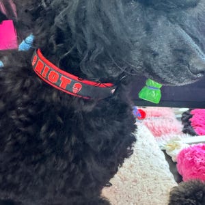 Christina hat ein Foto des gekauften Artikels hinzugefügt