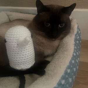 beans added a photo of their purchase