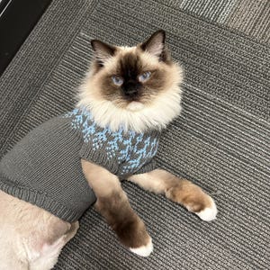 Hand Knitted Cat Sweater 