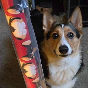 Cute Corgi Butt Wrapping Paper - 12 Foot Premium Gift Wrap Roll