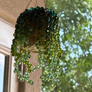ビーズの植物サンキャッチャー、ビーズクリスタル多肉植物の窓掛け