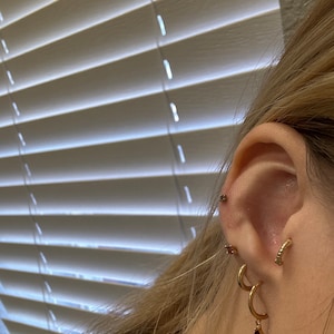 Carly added a photo of their purchase