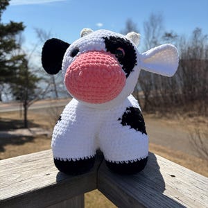 Rachel added a photo of their purchase