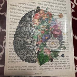 Adrian added a photo of their purchase