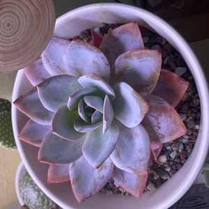 Beth added a photo of their purchase