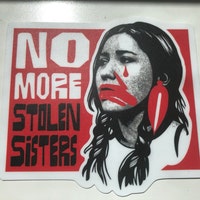 Indigenous Rights Activism Decal Set, Human Rights Decolonize Sticker ...