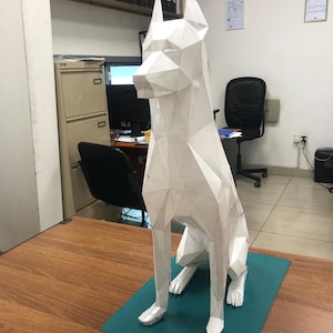 Dhanushka added a photo of their purchase