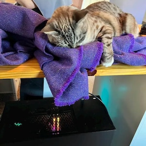 Angelica added a photo of their purchase