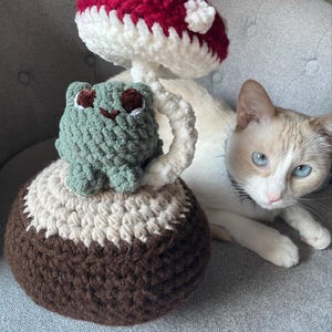 LittleNorman added a photo of their purchase