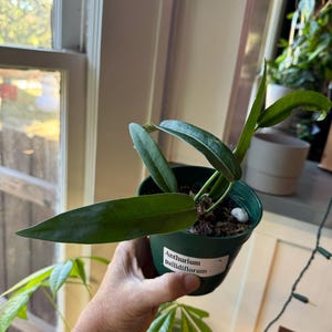 Katharine added a photo of their purchase