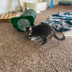 Samantha added a photo of their purchase