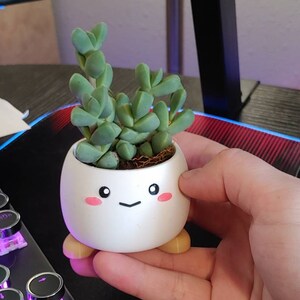 Jenna added a photo of their purchase