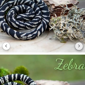 Bella added a photo of their purchase