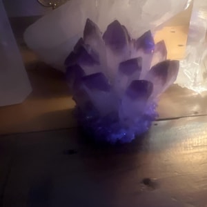 Cynthia added a photo of their purchase