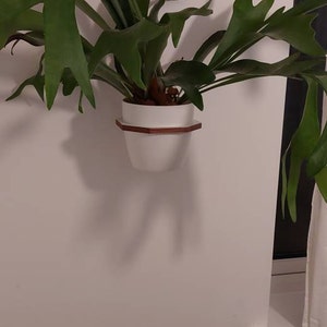 Carleen added a photo of their purchase