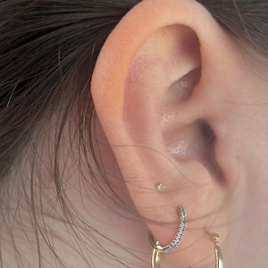 Isabella added a photo of their purchase