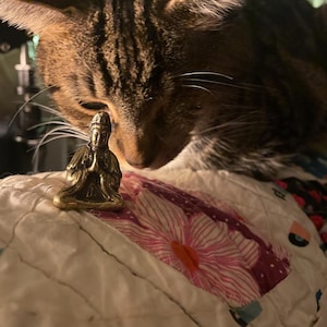 Cat hat ein Foto des gekauften Artikels hinzugefügt