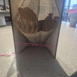 Mackenzie added a photo of their purchase