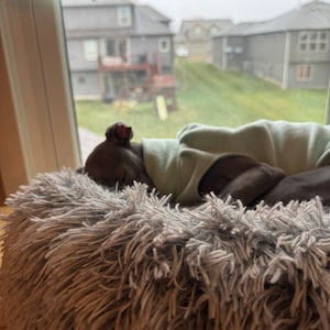 Erika heeft een foto van de aankoop toegevoegd