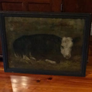 Dana added a photo of their purchase