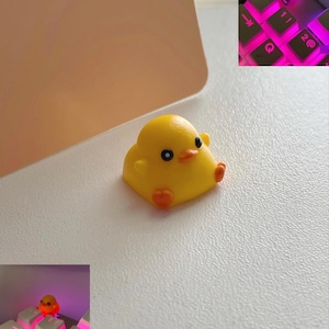 Ang adicionaram uma foto da sua compra
