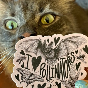 vannah added a photo of their purchase
