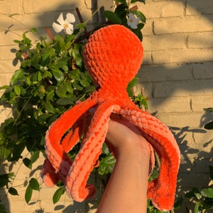 Daniela さんが購入した商品の写真を追加しました