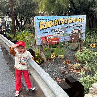 RUSTEZE Custom Trucker Adjustable Cap Disney Cars Hat Red Hat Lightning ...