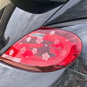 lily added a photo of their purchase